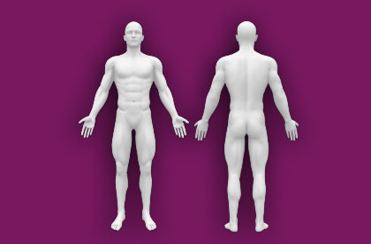 Illustration about Human body anatomy, front, back, side view